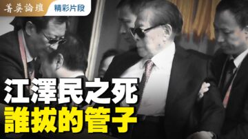 【菁英论坛精采片段】江泽民之死 谁拔的管子