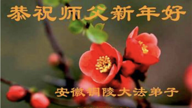河北、山西、安徽法轮功学员恭祝李洪志大师新年好(33条)