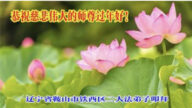 遼寧法輪功學員恭祝李洪志大師新年好(22條)