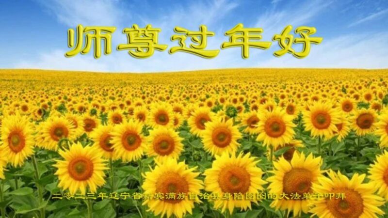 遼寧法輪功學員恭祝李洪志大師新年好(25條)