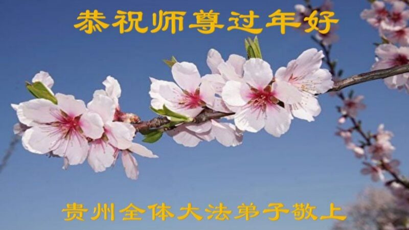 贵州法轮功学员恭祝李洪志大师新年好(27条)