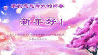 大連法輪功學員恭祝李洪志大師新年好(29條)