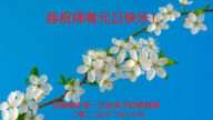 安徽、福建、廣東、甘肅法輪功學員恭祝李洪志大師新年好(37條)