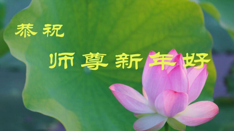 广东、广西、贵州等地法轮功学员恭祝李洪志大师新年好(32条)