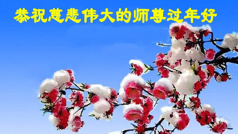 黑龙江、河南法轮功学员恭祝李洪志大师新年好(33条)