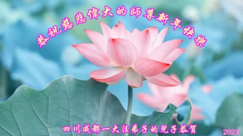 成都法轮功学员恭祝李洪志大师新年好(20条)