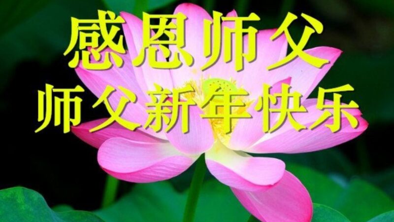 潍坊法轮功学员恭祝李洪志大师新年好(18条)