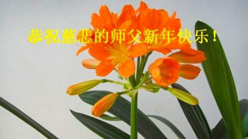 青岛法轮功学员恭祝李洪志大师新年好(20条)
