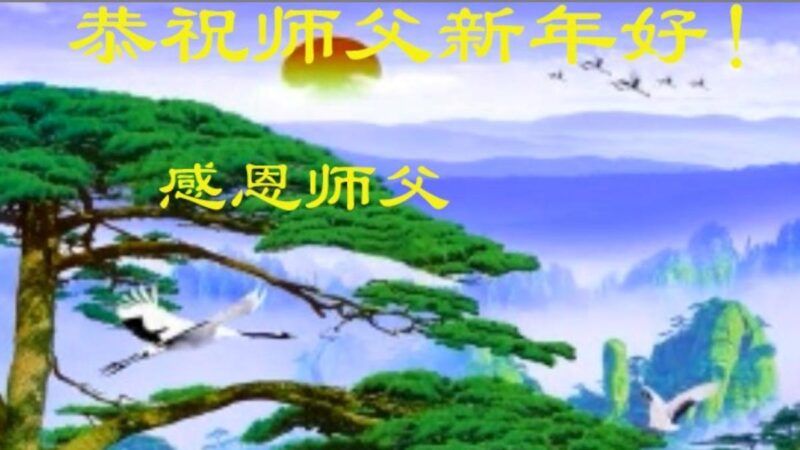 成都法轮功学员恭祝李洪志大师新年好(18条)