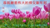 石家莊法輪功學員恭祝李洪志大師新年好(20條)