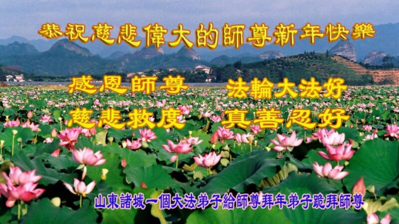 潍坊法轮功学员恭祝李洪志大师新年好(22条)