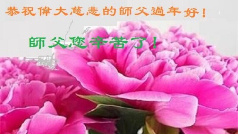 潍坊法轮功学员恭祝李洪志大师新年好(20条)