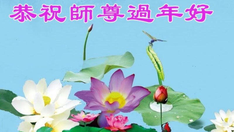哈爾濱法輪功學員恭祝李洪志大師新年好(21條)