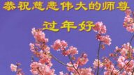 遼寧法輪功學員恭祝李洪志大師新年好(19條)