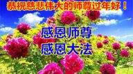 山東法輪功學員恭祝李洪志大師新年好(25條)