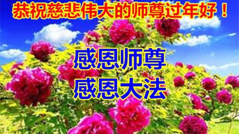 山东法轮功学员恭祝李洪志大师新年好(25条)
