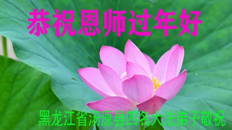 佳木斯法轮功学员恭祝李洪志大师新年好(19条)