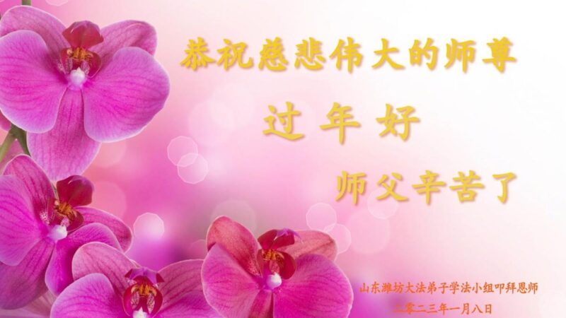 潍坊法轮功学员恭祝李洪志大师新年好(22条)