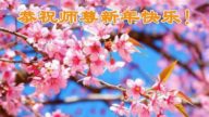 廣東法輪功學員恭祝李洪志大師新年好(23條)