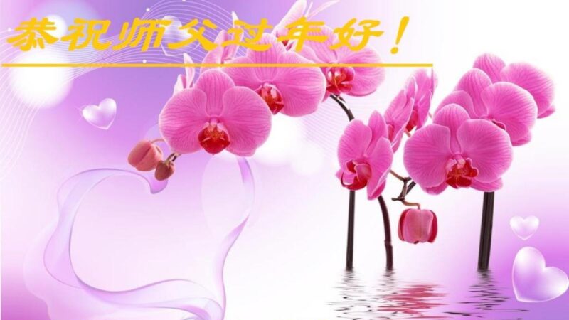 黑龙江法轮功学员恭祝李洪志大师新年好(22条)