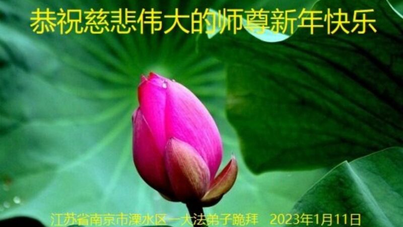 江苏法轮功学员恭祝李洪志大师新年好(19条)