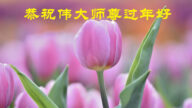 天津法輪功學員恭祝李洪志大師新年好(21條)