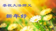 中國民眾敬賀李大師新年好