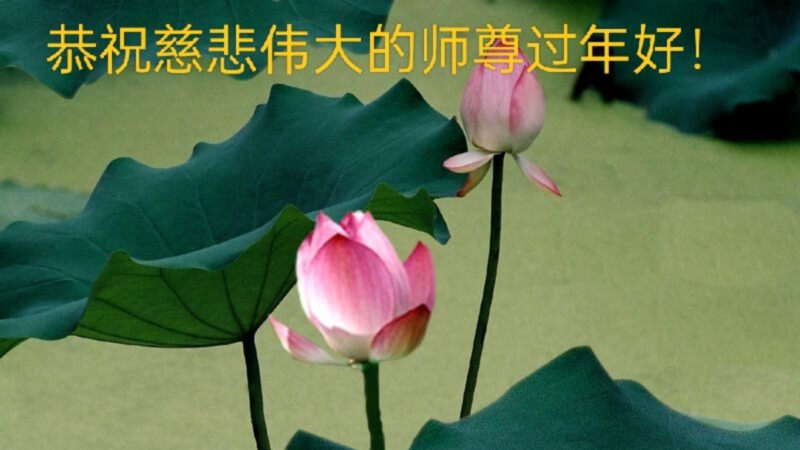 吉林省法輪功學員恭祝李洪志大師新年好(20條)
