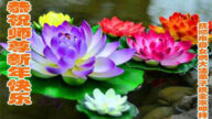 遼寧法輪功學員恭祝李洪志大師新年好(22條)
