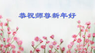 湖北法輪功學員恭祝李洪志大師新年好(20條)
