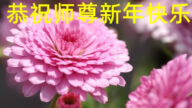遼寧法輪功學員恭祝李洪志大師新年好(19條)