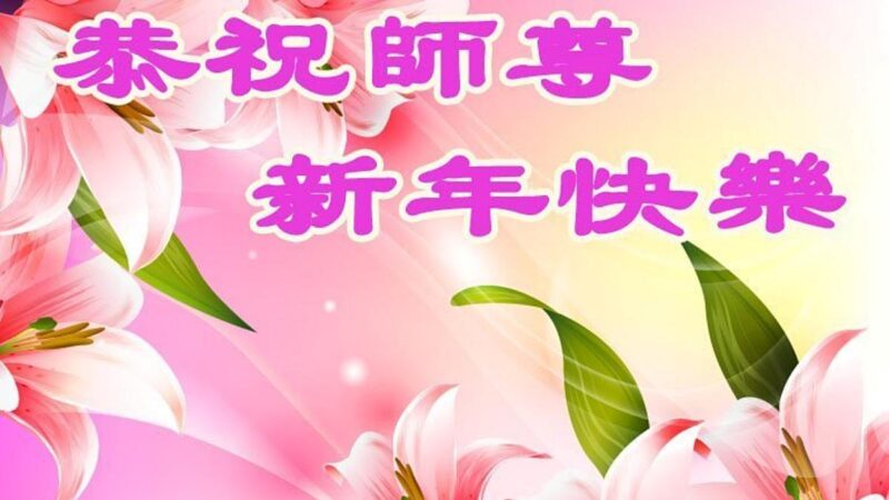 教育系統法輪功學員恭祝李洪志大師新年好(20條)