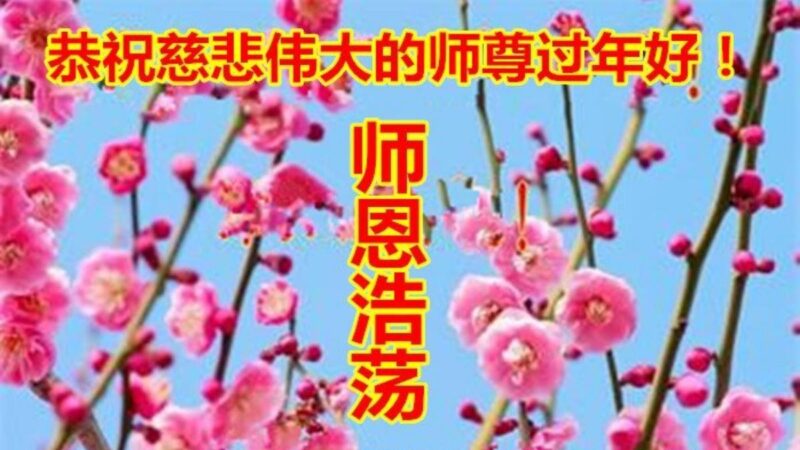各行業法輪功學員恭祝李洪志大師新年好(29條)