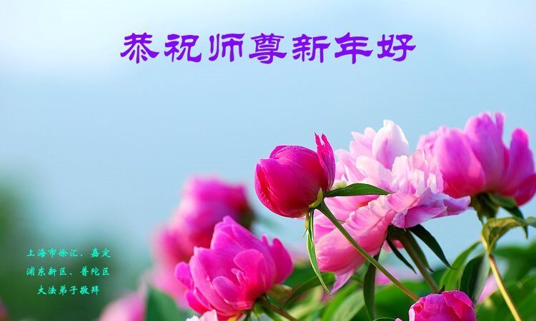 中國大陸30省市法輪功學員恭祝李洪志大師過年好