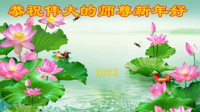 乡村法轮功学员恭祝李洪志大师新年好(21条)