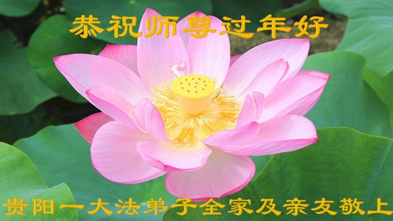 贵州、海南、吉林、辽宁法轮功学员恭祝李洪志大师新年好(27条)