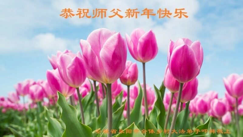 乡村法轮功学员恭祝李洪志大师新年好(27条)