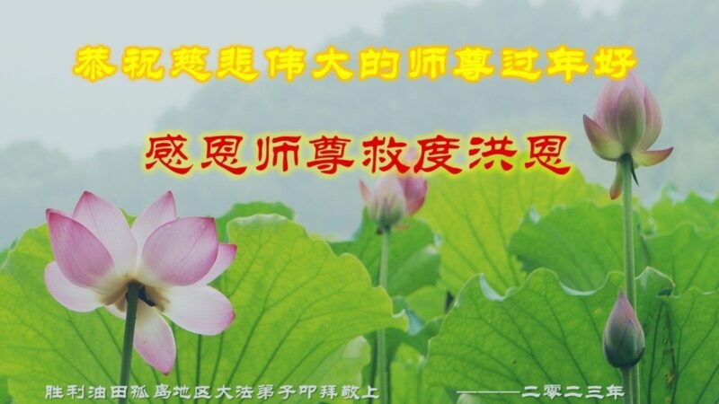 各行业法轮功学员恭祝李洪志大师新年好(34条)