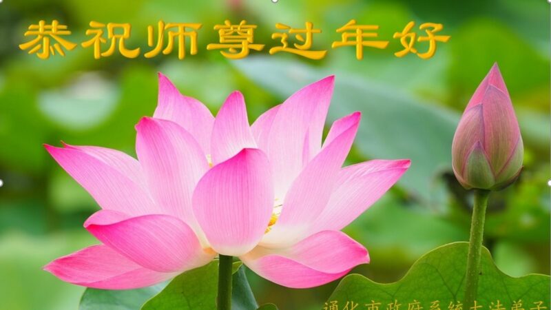 吉林、北京、天津、黑龍江法輪功學員恭祝李洪志大師新年好(30條)