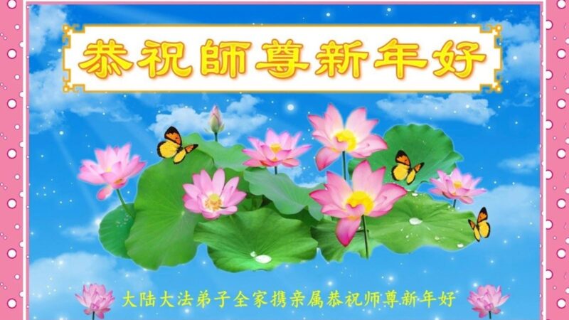 大陆法轮功学员恭祝李洪志大师新年好(33条)