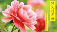丹麥、瑞典、挪威、芬蘭法輪功學員恭祝李洪志大師新年好