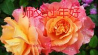 福建、甘肅、廣東法輪功學員恭祝李洪志大師新年好(33條)