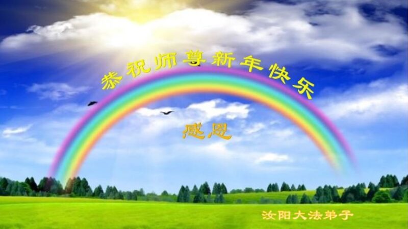 海南、河南、黑龙江法轮功学员恭祝李洪志大师新年好(30条)