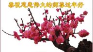 河北、山西、福建、安徽法輪功學員恭祝李洪志大師新年好(30條)