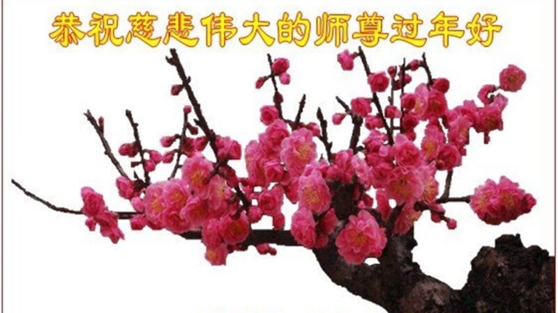 河北、山西、福建、安徽法轮功学员恭祝李洪志大师新年好(30条)
