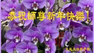 大連法輪功學員恭祝李洪志大師新年好(28條)