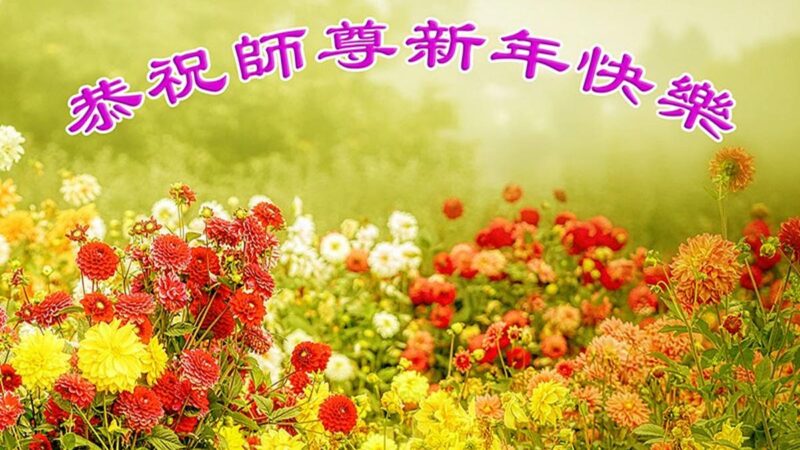 山东法轮功学员恭祝李洪志大师新年好(31条)
