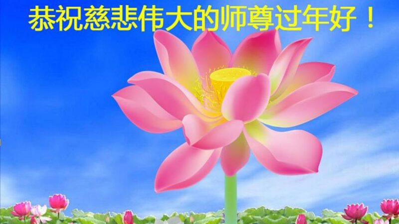 河南法轮功学员恭祝李洪志大师新年好(28条)