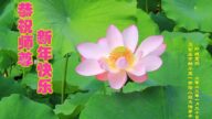 石家莊法輪功學員恭祝李洪志大師新年好(29條)