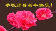 江蘇法輪功學員恭祝李洪志大師新年好(28條)